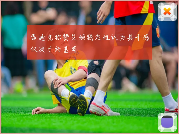 雷迪克称赞艾顿稳定性认为其手感仅次于约基奇