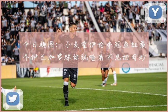 今日趣图：小麦霍伊伦夺冠鱼缸桑乔伊兰加零球你说啥看不见的奇妙瞬间